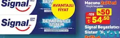 SİGNAL DİŞ MACUNU 2X75 ML indirimli fiyat SİGNAL DİŞ MACUNU 2X75 ML fiyat ve kampanya bilgisi